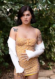 Trans Fixed - For Those Fixed on Trans Porns