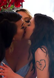 Trans Fixed - For Those Fixed on Trans Porns