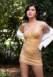 Trans Fixed - For Those Fixed on Trans Porns