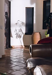 Trans Fixed - For Those Fixed on Trans Porns