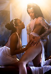 Trans Fixed - For Those Fixed on Trans Porns