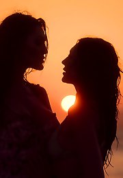 Trans Fixed - For Those Fixed on Trans Porns