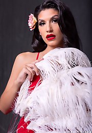 Trans Fixed - For Those Fixed on Trans Porns