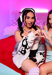 Trans Fixed - For Those Fixed on Trans Porns