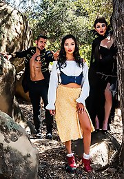 Trans Fixed - For Those Fixed on Trans Porns