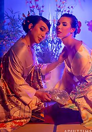 Trans Fixed - For Those Fixed on Trans Porns