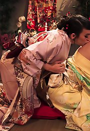 Trans Fixed - For Those Fixed on Trans Porns